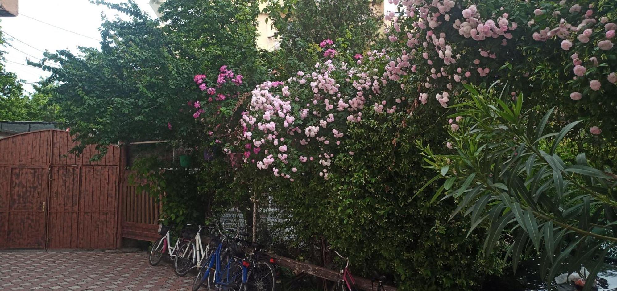 Top Shkodra Location Bagian luar foto